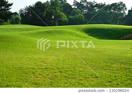 Midsummer golf course, empty green 110296024