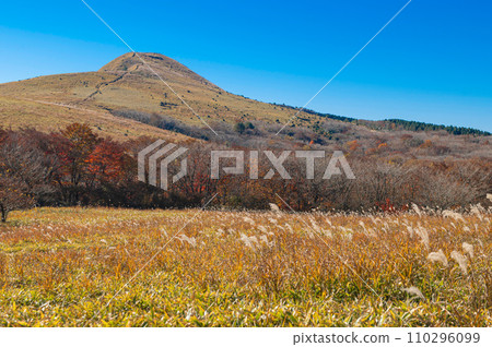 攀登和光山“從山路看到的三伏山” 攀登和光山“從山路看到的三伏山” 110296099