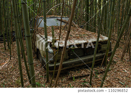 Abandoned car abandoned in a bamboo forest Abandoned car abandoned in a bamboo forest 110296852