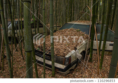 Abandoned car abandoned in a bamboo forest Abandoned car abandoned in a bamboo forest 110296853