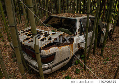 Abandoned car abandoned in a bamboo forest Abandoned car abandoned in a bamboo forest 110296855