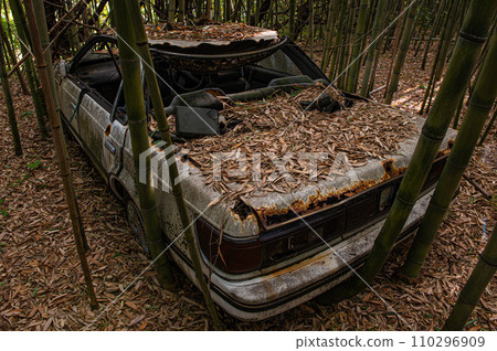 Abandoned car abandoned in a bamboo forest Abandoned car abandoned in a bamboo forest 110296909