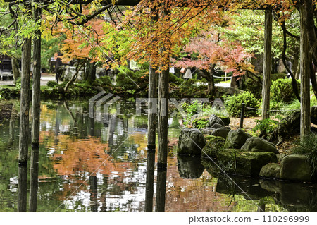 大山神社的深秋 大山神社的深秋 110296999