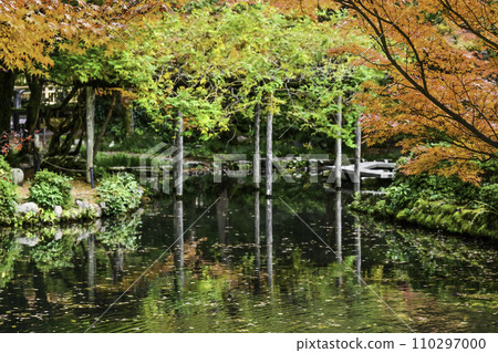 大山神社的深秋 大山神社的深秋 110297000
