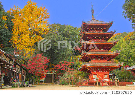 Five-storied pagoda at Myo-in Temple (Fukuyama City) during the autumn leaves season 110297630