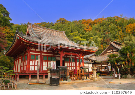 The main hall of Myo-in Temple (Fukuyama City) during the autumn leaves season 110297649