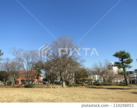 The appearance of winter when the leaves of the zelkova trees in Kojima Park have fallen. 110298053