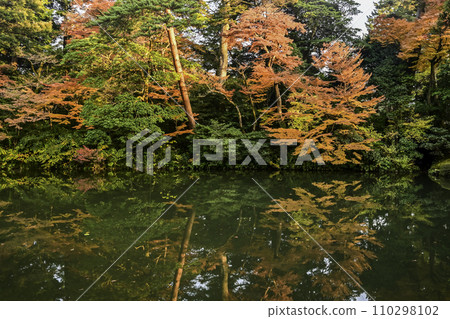 Kenrokuen Garden with beautiful late autumn leaves Kenrokuen Garden with beautiful late autumn leaves 110298102