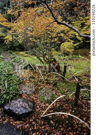 Autumn leaves at Terashima Kuran mansion 110298226