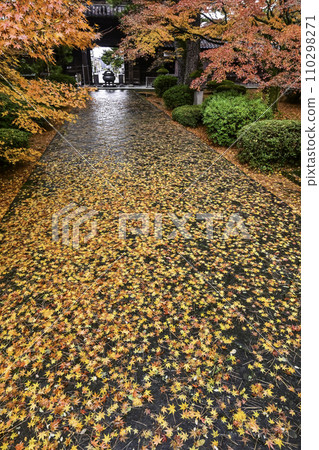 雨後天德院的秋葉 雨後天德院的秋葉 110298271