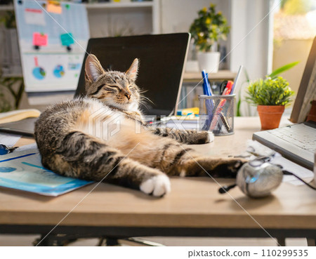 Cat sleeping on the desk in the office (AI generated image) Cat sleeping on the desk in the office (AI generated image) 110299535