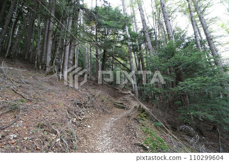 2023年10月攀登山梨縣金峰山 110299604