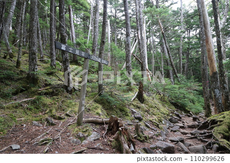 2023年10月攀登山梨縣金峰山 110299626
