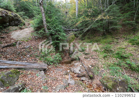 2023年10月攀登山梨縣金峰山 110299652