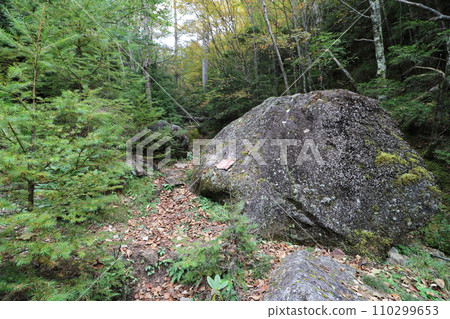 2023年10月攀登山梨縣金峰山 110299653