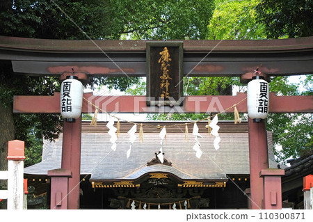 Torii of Magata Shrine [Sakura City, Chiba Prefecture] 110300871