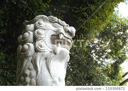 Guardian dogs of Magata Shrine [Sakura City, Chiba Prefecture] 110300872