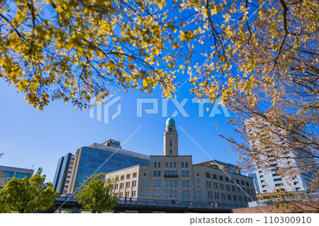Yokohama, Zou-no-hana Park, Minato Mirai, port, ship 110300910