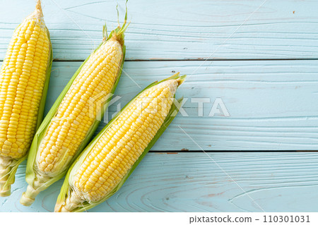 fresh corn on wood background fresh corn on wood background 110301031