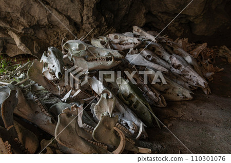 Skulls of deer and boars dedicated to Shiroka Gongen 110301076