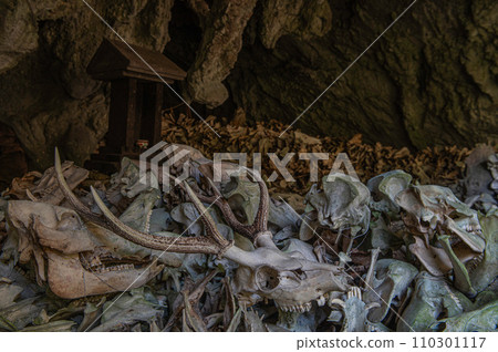 Skulls of deer and boars dedicated to Shiroka Gongen Skulls of deer and boars dedicated to Shiroka Gongen 110301117