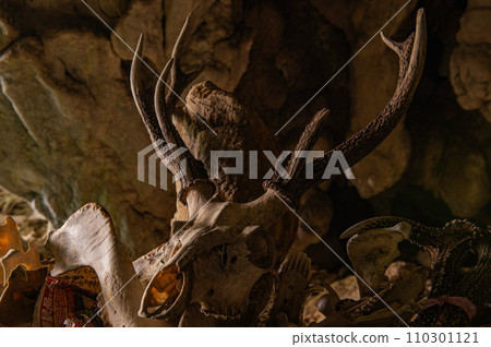Skulls of deer and boars dedicated to Shiroka Gongen Skulls of deer and boars dedicated to Shiroka Gongen 110301121