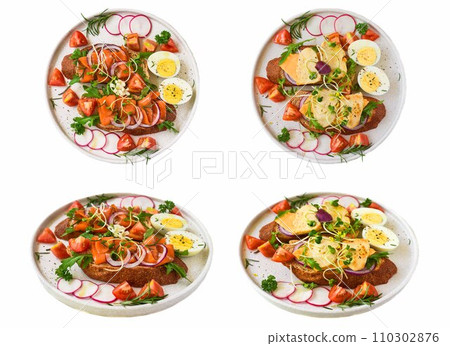 Set or collage of different type of sandwiches on white background with chicken and smoked salmon in side view and top view together Set or collage of different type of sandwiches on white background with chicken and smoked salmon in side view and top view together 110302876