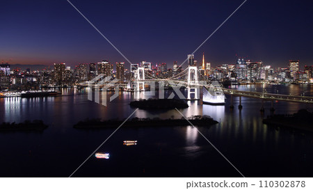 從台場看到的彩虹橋和夜景 從台場看到的彩虹橋和夜景 110302878