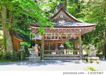 Kyoto Fresh Green Kifune Shrine Okumiya (Kyoto City, Kyoto Prefecture) 110303467