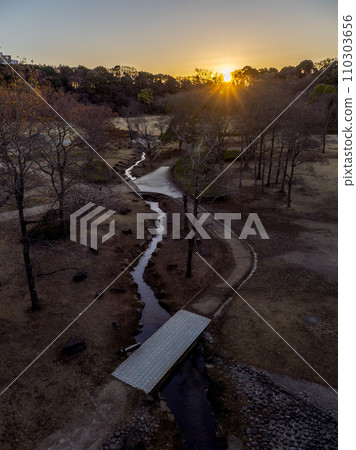 從橫跨公園的橋上看到的新年日出景色(千葉縣松戶市21世紀森林廣場) 從橫跨公園的橋上看到的新年日出景色(千葉縣松戶市21世紀森林廣場) 110303656