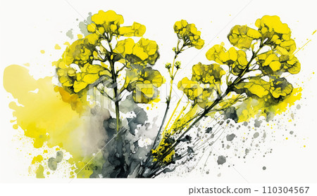 油菜花水彩畫(油菜花) 油菜花水彩畫(油菜花) 110304567