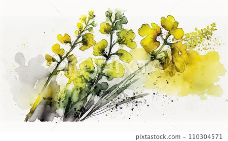 油菜花水彩畫（油菜花） 110304571