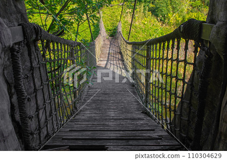 封閉植物園的廢墟 110304629