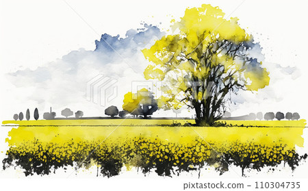 Rapeseed field Rapeseed field 110304735