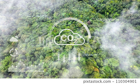 Mist on tropical rainforest mountain, Tropical forests can increase the humidity in air and absorb carbon dioxide from the atmosphere. 110304901