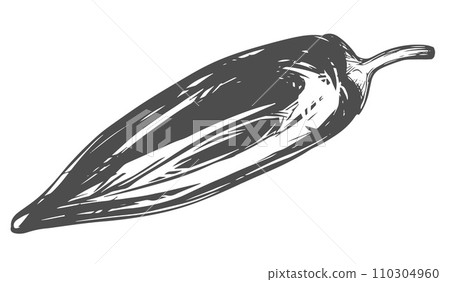Chilli. Paprika vector illustration. Hot pepper in engraved style, ingredient of Mexican cuisine. Hot spices drawn in ink. Great for label, poster, print. Isolated on white background. Spicy seasoning Chilli. Paprika vector illustration. Hot pepper in engraved style, ingredient of Mexican cuisine. Hot spices drawn in ink. Great for label, poster, print. Isolated on white background. Spicy seasoning 110304960