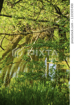 斯洛伐克布拉迪斯拉發的自然與城市景觀 斯洛伐克布拉迪斯拉發的自然與城市景觀 110305490