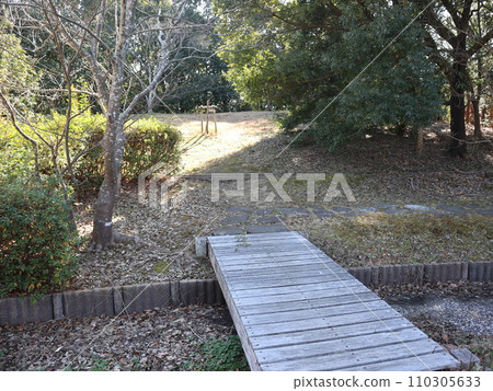 一月的西神中央公園 神戶市西區公園 110305633