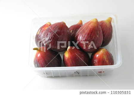 FIG FIG 110305831