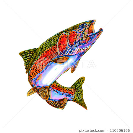 Rainbow trout 110306166