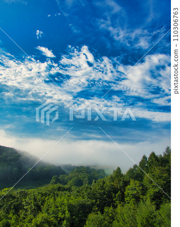 Landscape photo 110306763