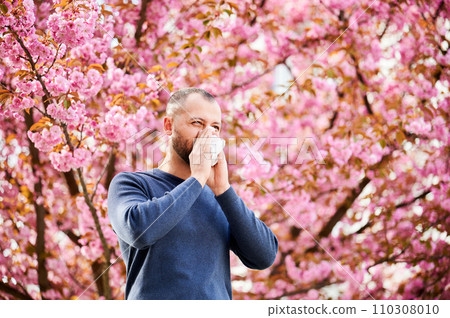 Man allergic suffering from seasonal allergy at spring in blossoming garden at springtime. Man sneezing and blowing nose using nasal handkerchief in front of blooming tree. Spring allergy concept. Man allergic suffering from seasonal allergy at spring in blossoming garden at springtime. Man sneezing and blowing nose using nasal handkerchief in front of blooming tree. Spring allergy concept. 110308010