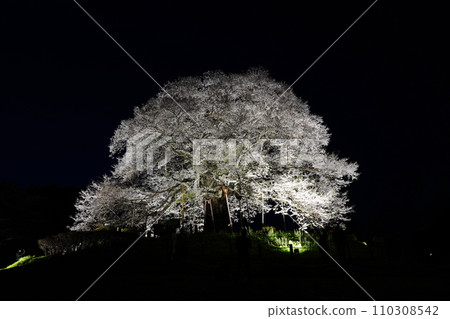 佐倉醐醐 3497 佐倉醐醐 3497 110308542