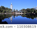 倒映在水鏡中的日式庭園 110308619