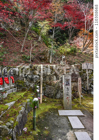 河原禪寺（東近江市）達摩重浮石 110308668