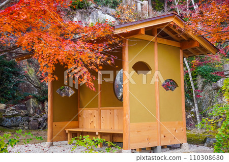 河原禪寺境內的紅葉(東近江市) 河原禪寺境內的紅葉(東近江市) 110308680
