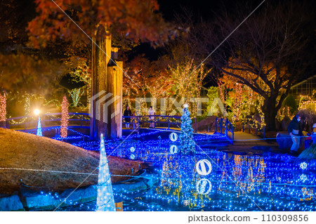 Koshu City, Yamanashi Prefecture Herb Garden Travel Diary Illumination 110309856