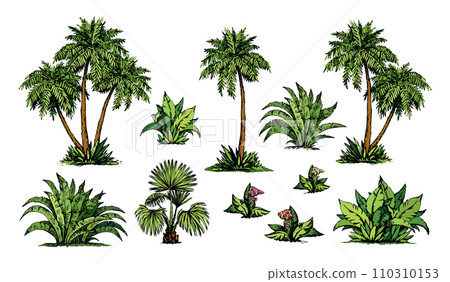 Palm forest. Vector drawing 110310153