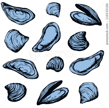 Oyster. Vector drawing 110310189
