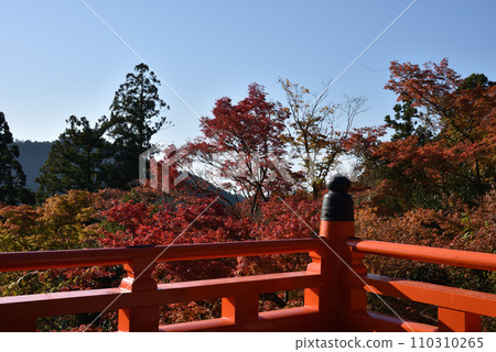 從本宮鞍馬寺院內看到的楓葉 110310265